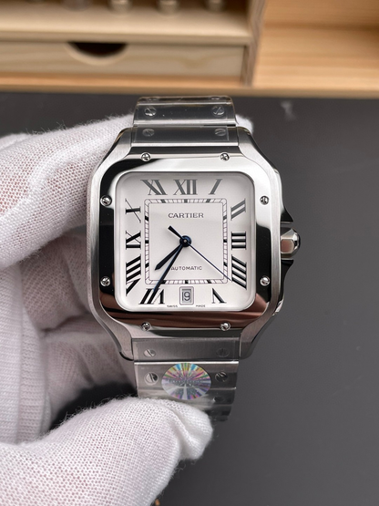 Santos Silver/White